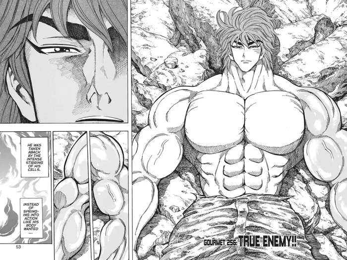 Toriko Chapter 256 image 04_optimized